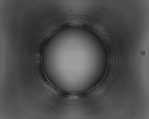 X0000089660649200707191649
