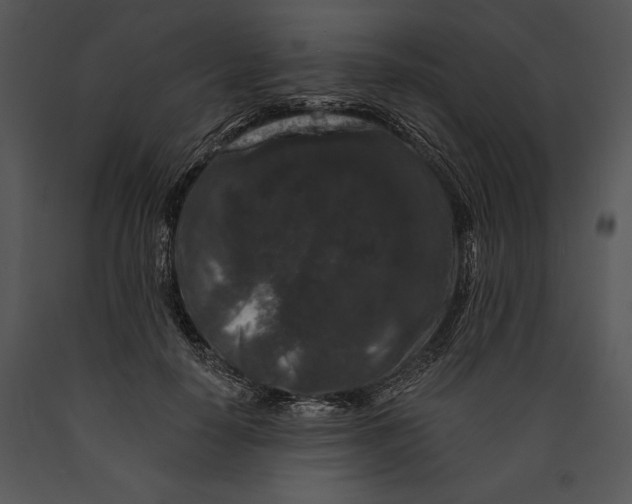 X0000089660650200707191649