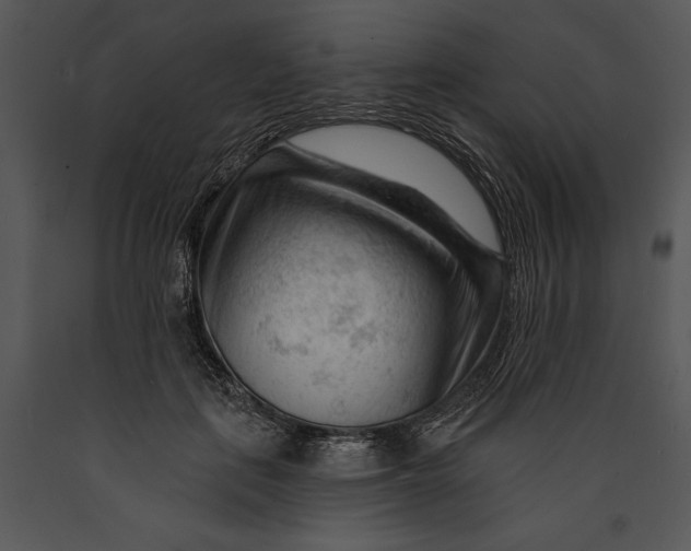 X0000089660651200707191649