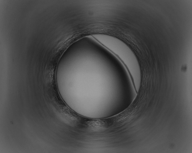 X0000089660652200707191649