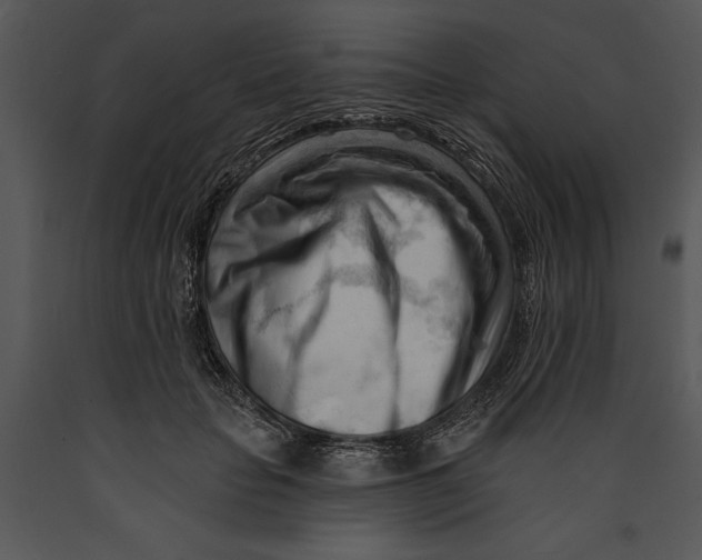 X0000089660653200707191649