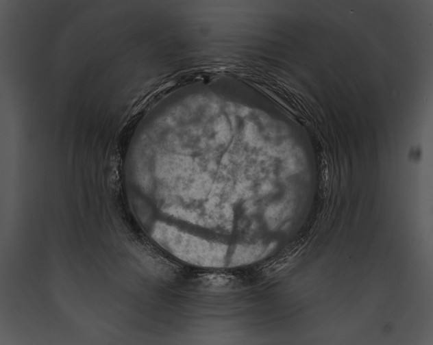 X0000089660654200707191649