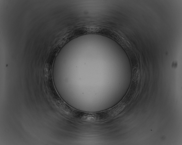X0000089660655200707191649