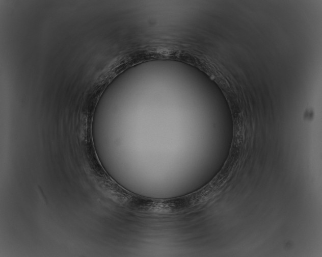 X0000089660656200707191649