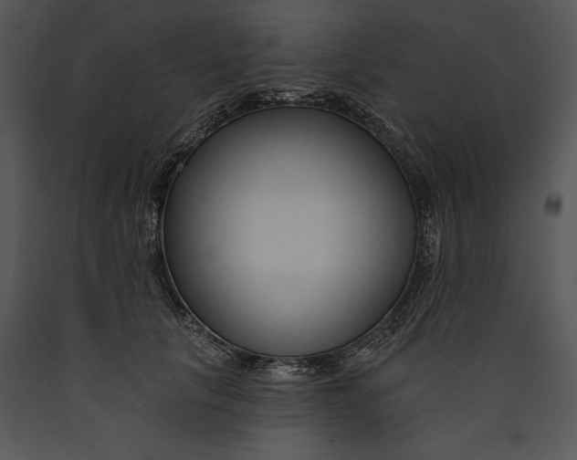 X0000089660657200707191649