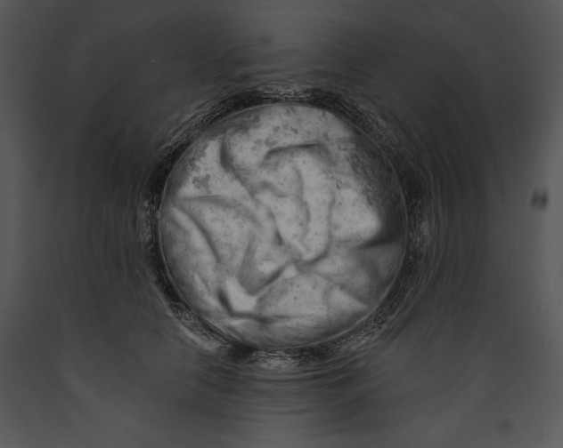 X0000089660658200707191649