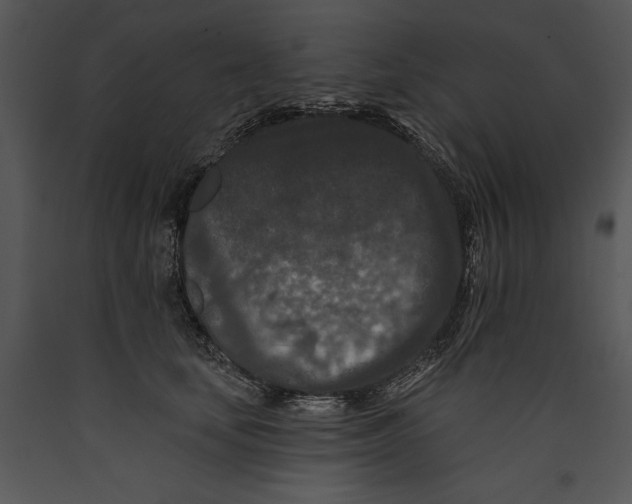 X0000089660659200707191649