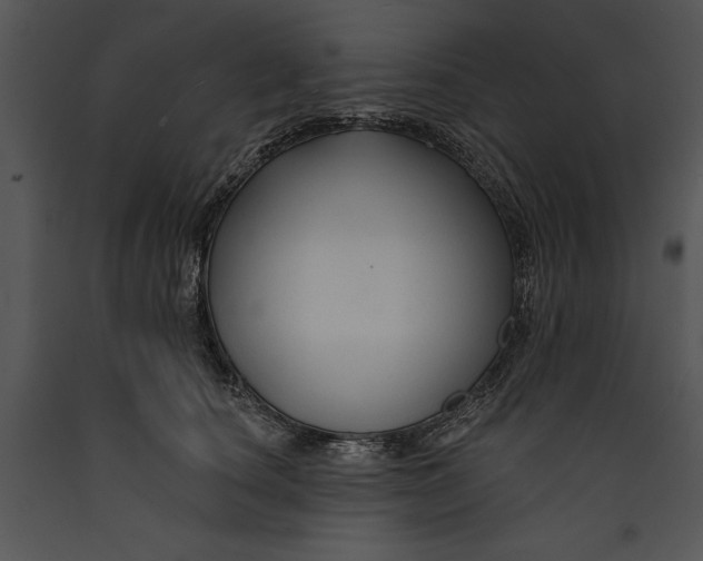 X0000089660660200707191649