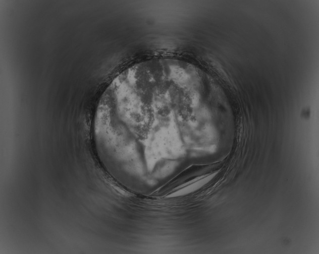 X0000089660661200707191649