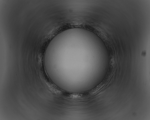 X0000089660662200707191649