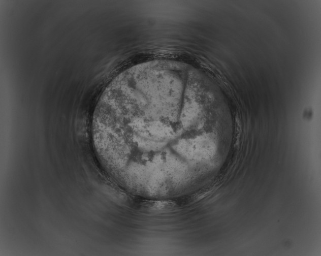 X0000089660663200707191650