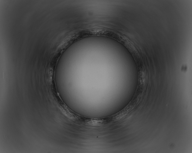 X0000089660664200707191650