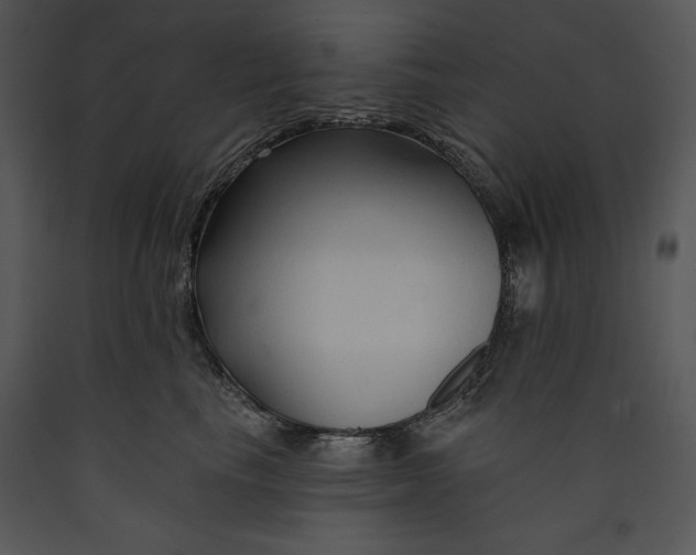 X0000089660665200707191650