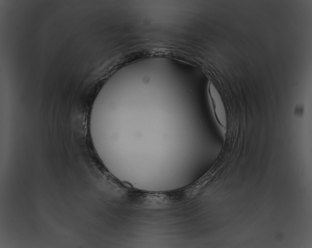 X0000089660666200707191650