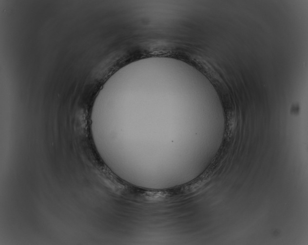X0000089660667200707191650