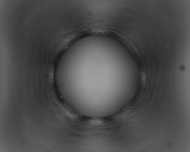 X0000089660668200707191650
