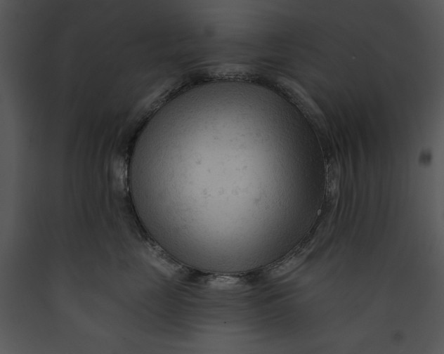 X0000089660669200707191650