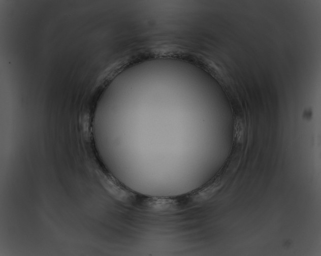 X0000089660670200707191650