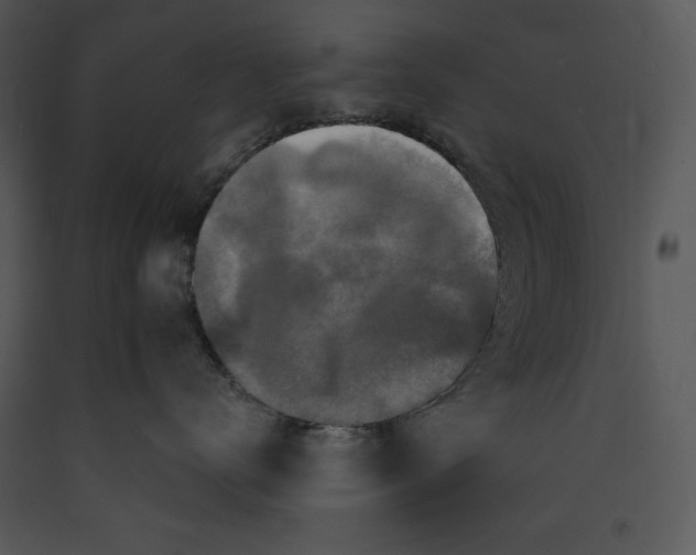 X0000089660672200707191650