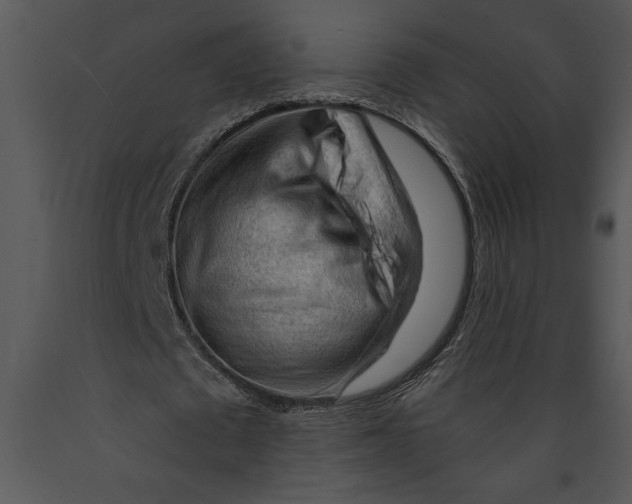 X0000089660673200707191649