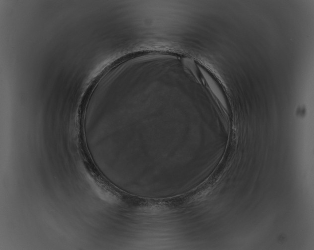X0000089660674200707191649