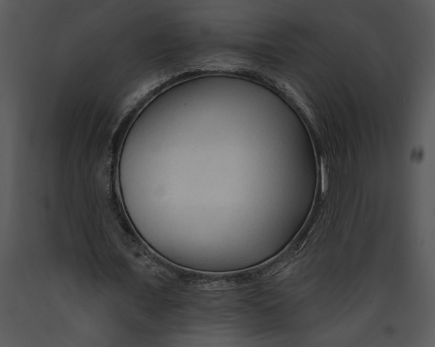 X0000089660675200707191649