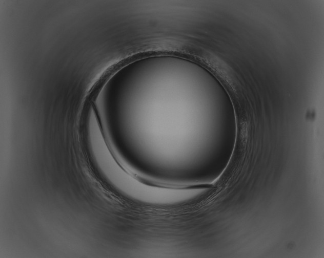 X0000089660676200707191649