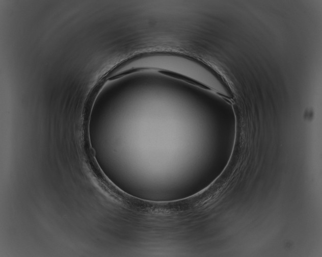 X0000089660677200707191649