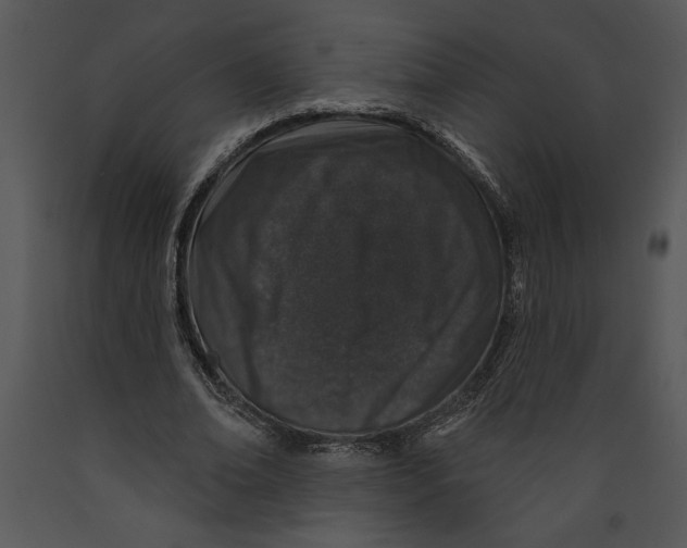 X0000089660678200707191649