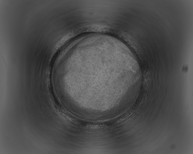 X0000089660679200707191649