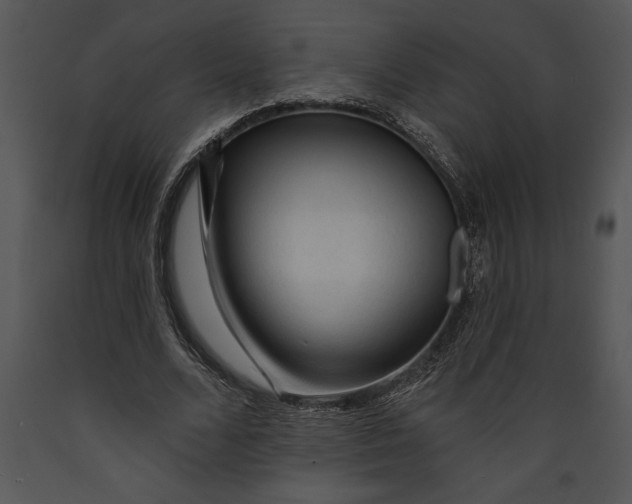 X0000089660680200707191649