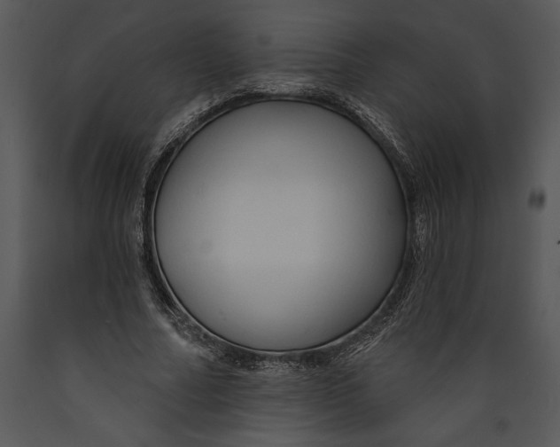X0000089660682200707191649