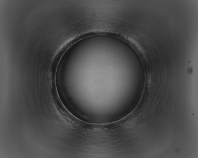 X0000089660684200707191649
