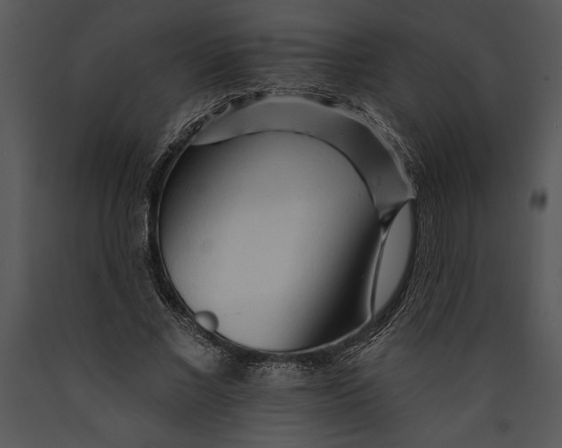 X0000089660685200707191649