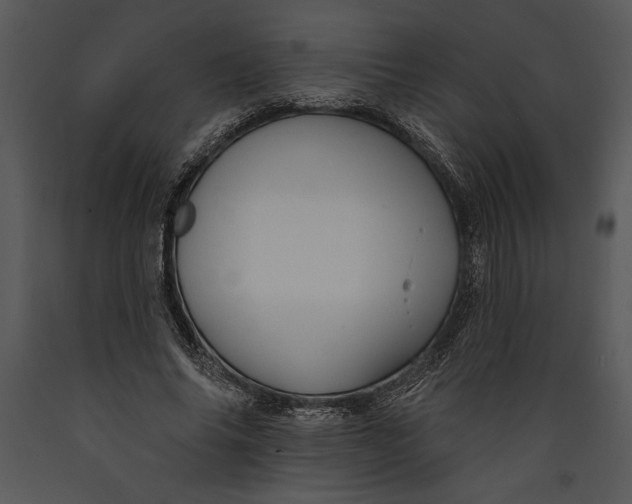 X0000089660686200707191649