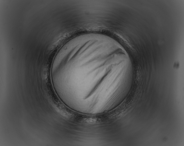 X0000089660687200707191649