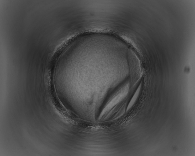 X0000089660688200707191649