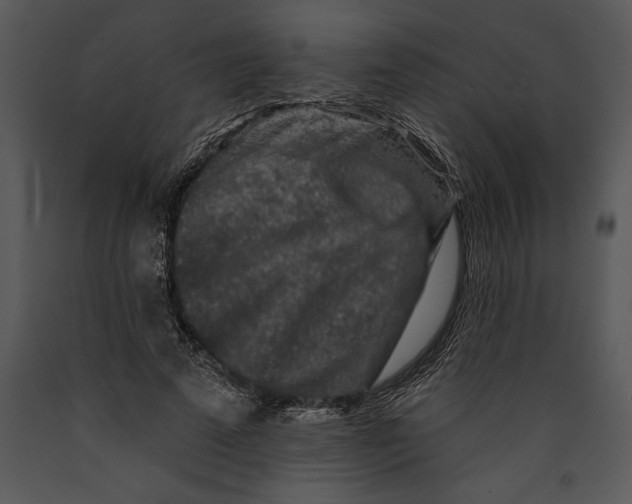 X0000089660689200707191649