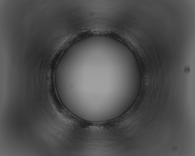 X0000089660690200707191649