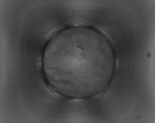 X0000089660691200707191649