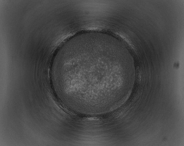 X0000089660692200707191649
