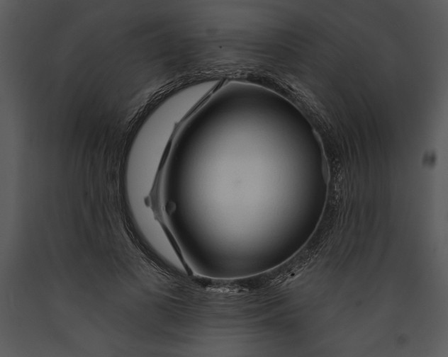 X0000089660693200707191649