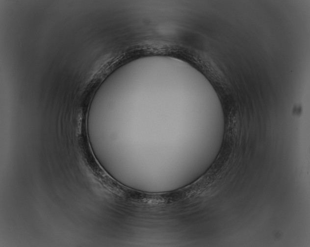 X0000089660694200707191649