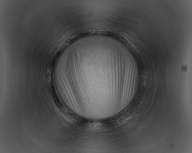 X0000089660695200707191649