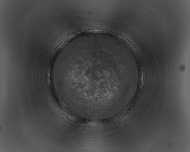 X0000089660696200707191649