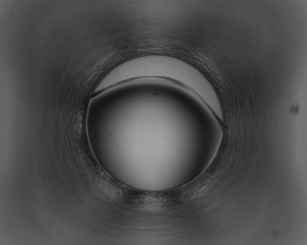 X0000089660697200707191649