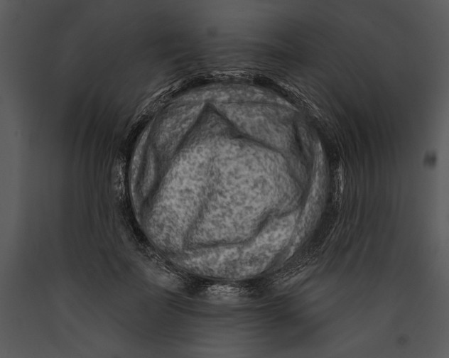 X0000089660699200707191649