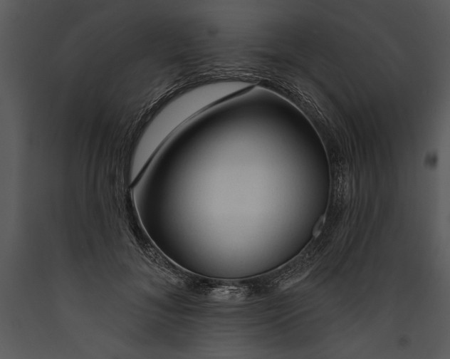 X0000089660700200707191649