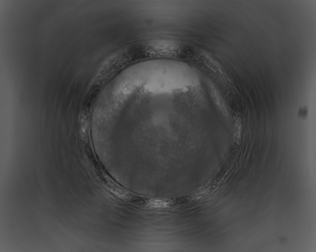 X0000089660701200707191649