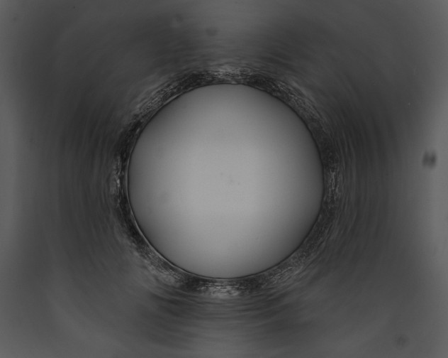 X0000089660702200707191649